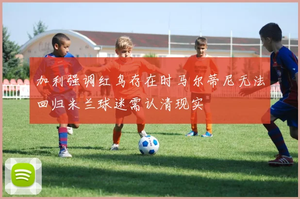 加利强调红鸟存在时马尔蒂尼无法回归米兰球迷需认清现实