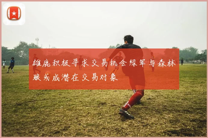 雄鹿积极寻求交易机会绿军与森林狼或成潜在交易对象